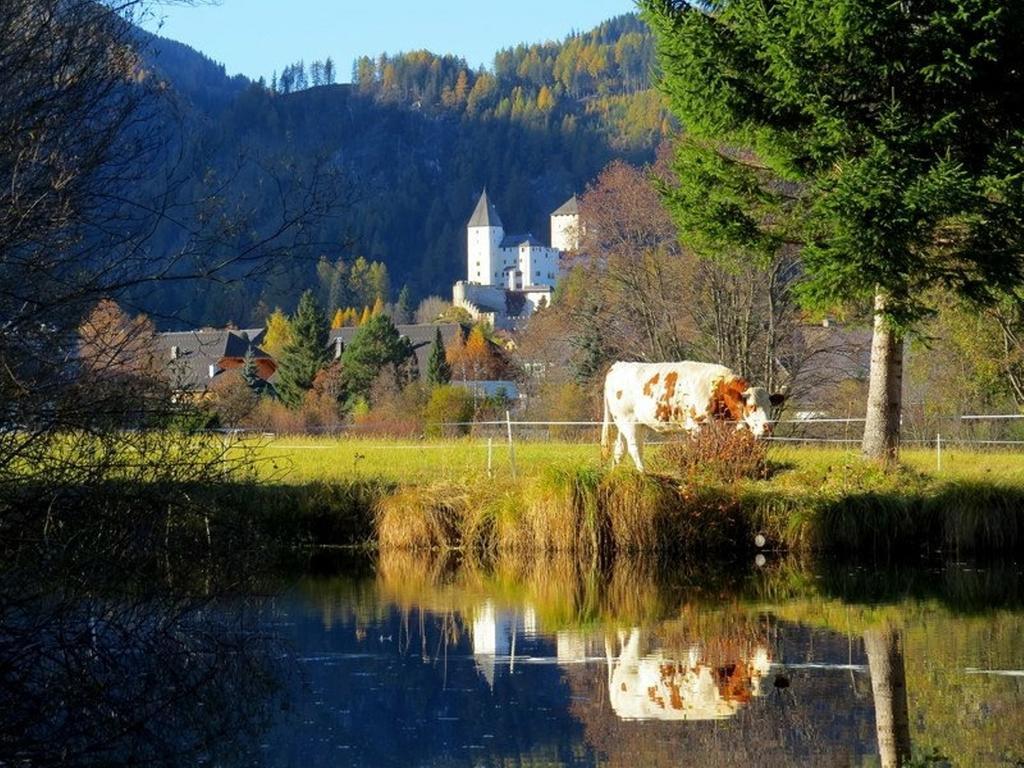 Ferienwohnung Und Zimmer Kassar Bikertipp Mauterndorf  Zewnętrze zdjęcie